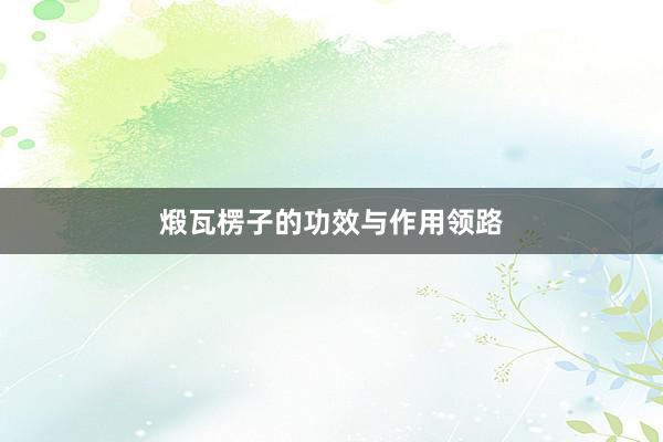 煅瓦楞子的功效与作用领路