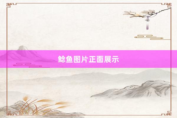 鲶鱼图片正面展示
