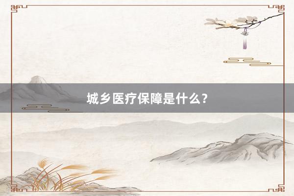 城乡医疗保障是什么？