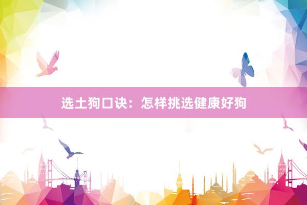 选土狗口诀：怎样挑选健康好狗